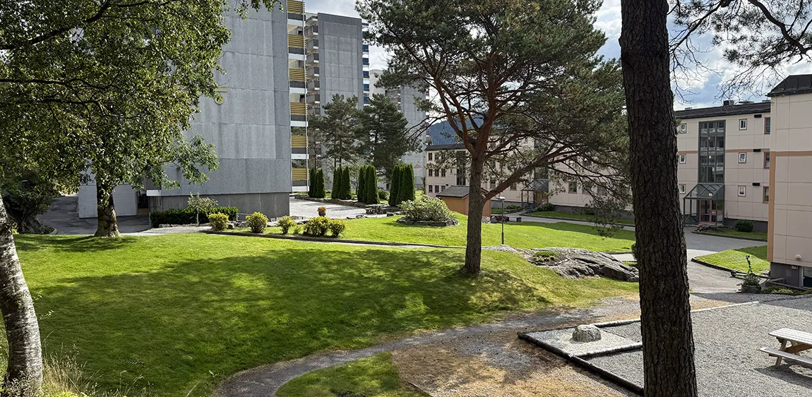 Utsikt mot fjell, Rundemannen.